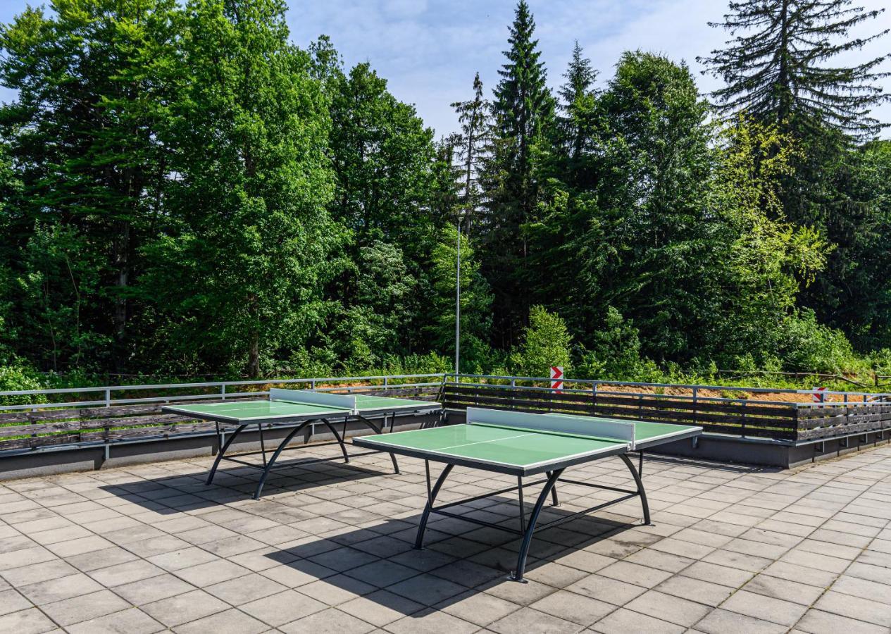 Fabulous Panorama Silver Mountain Apartments Poiana Braşov Dış mekan fotoğraf
