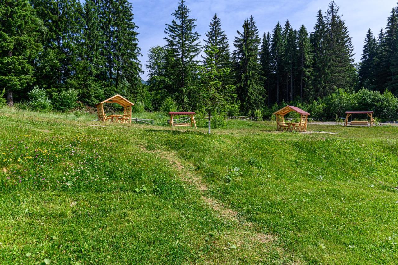 Fabulous Panorama Silver Mountain Apartments Poiana Braşov Dış mekan fotoğraf