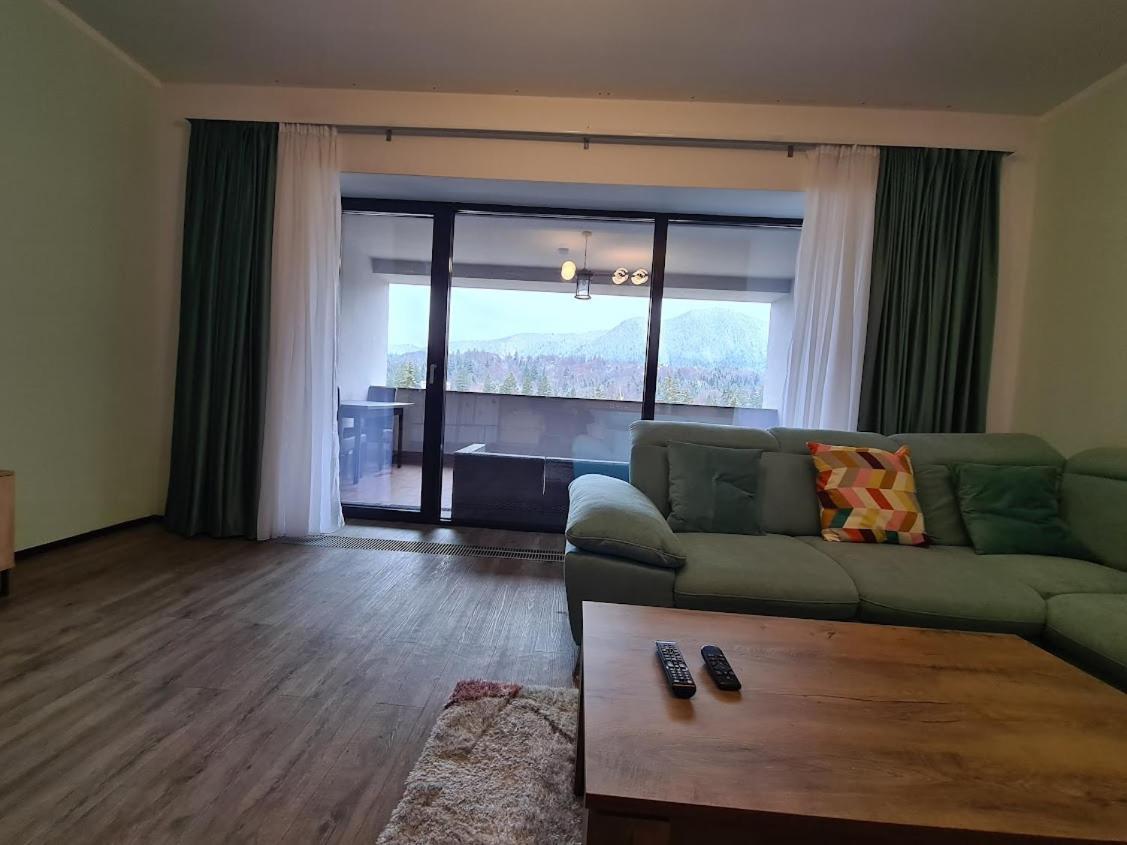 Fabulous Panorama Silver Mountain Apartments Poiana Braşov Dış mekan fotoğraf