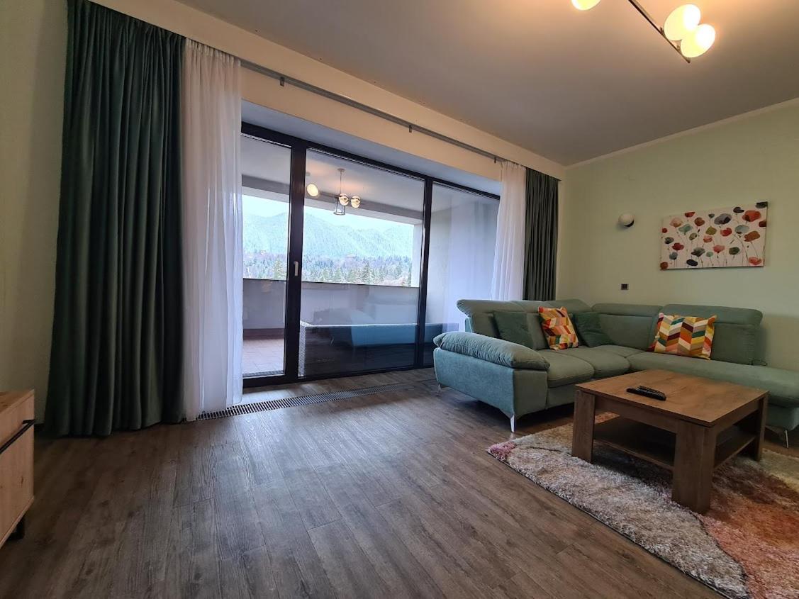 Fabulous Panorama Silver Mountain Apartments Poiana Braşov Dış mekan fotoğraf