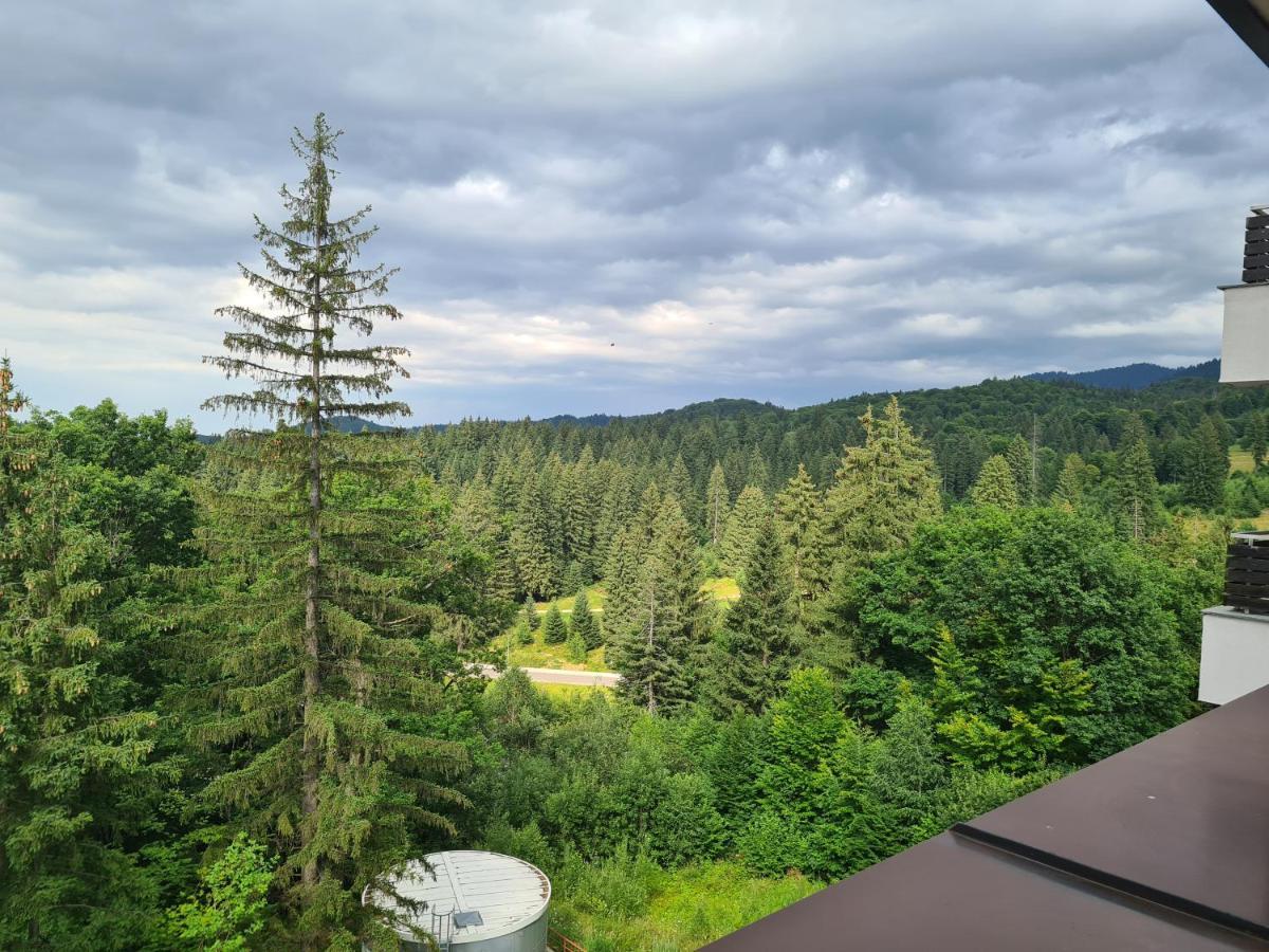 Fabulous Panorama Silver Mountain Apartments Poiana Braşov Dış mekan fotoğraf