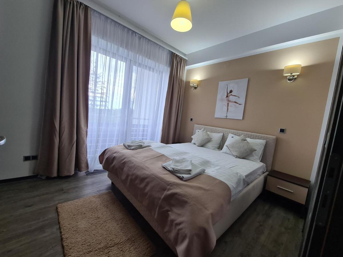 Fabulous Panorama Silver Mountain Apartments Poiana Braşov Dış mekan fotoğraf